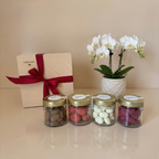 Ruby Snack Collection - Jahody & Maliny