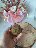 Minerálna morská hubka